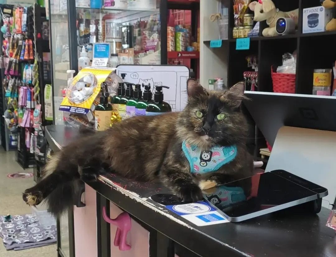A happy customer at Mugsy's Pet Supply.