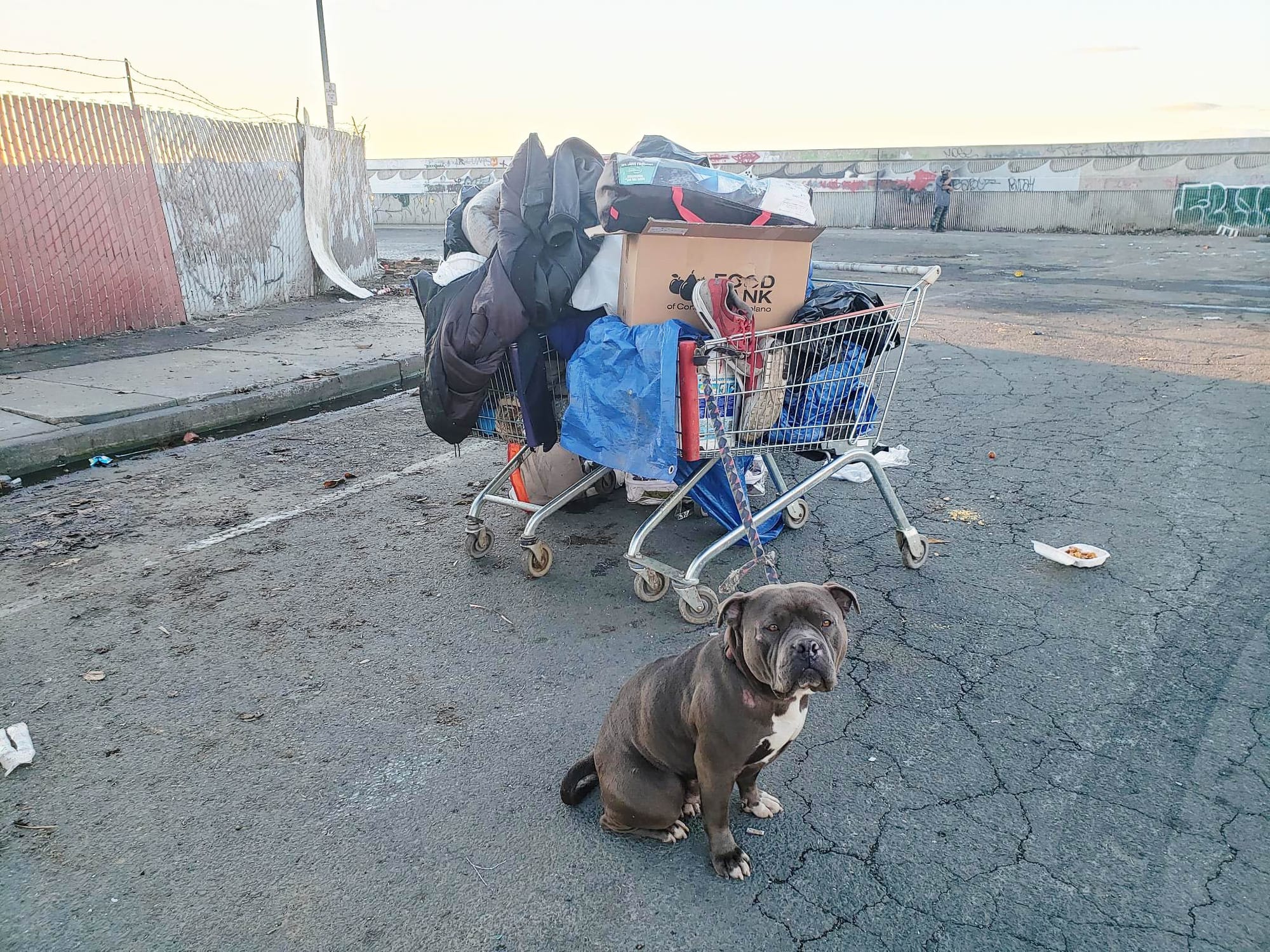 A resident of Enterprise Street named Mike left with two shopping carts of belongings and his dog. 