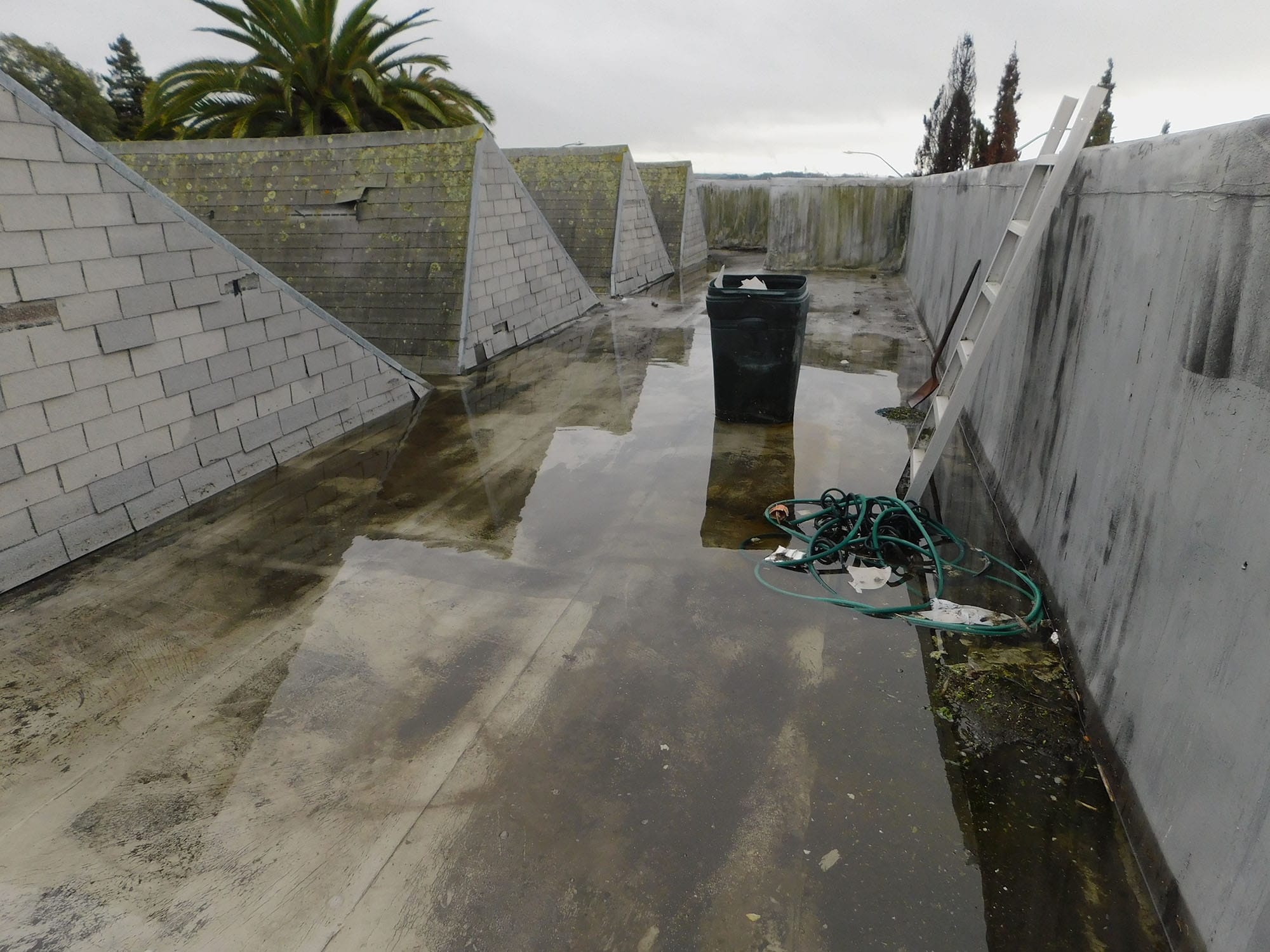 Water pooled on the roof of the Mira Theatre. 