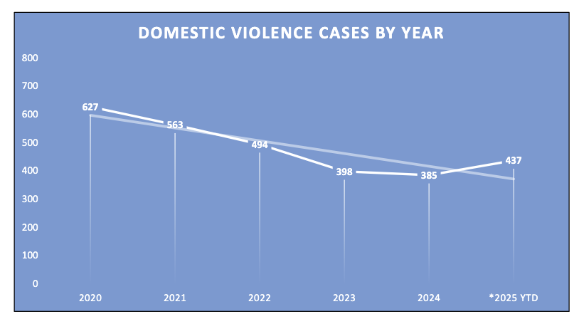 Domestic violence cases by year: 627 in 2020, 563 in 2021, 494 in 2022, 398 in 2023, 385 in 2024, 437 in 2025.