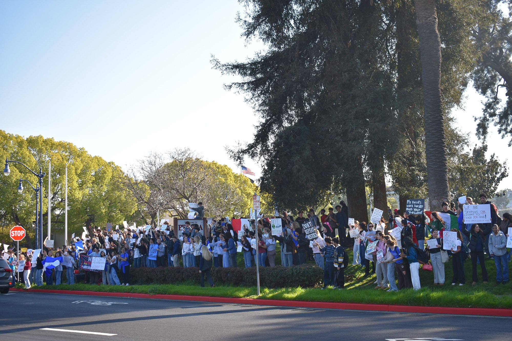 Students from Benicia High School covered the hill at City Park. 