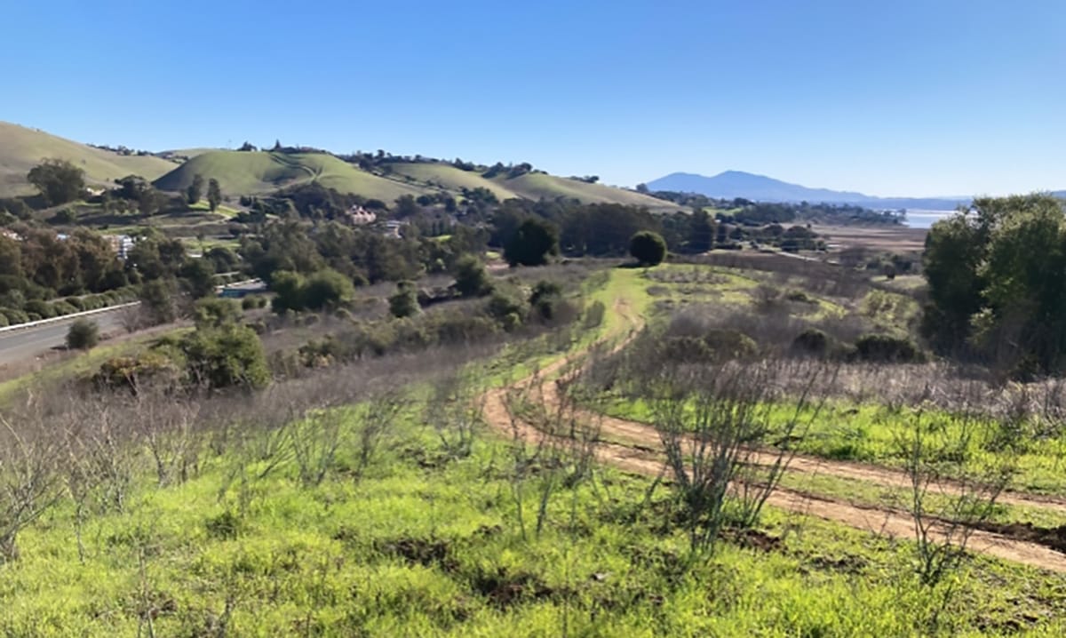 Vallejo City Council moves forward on controversial housing, golf course developments