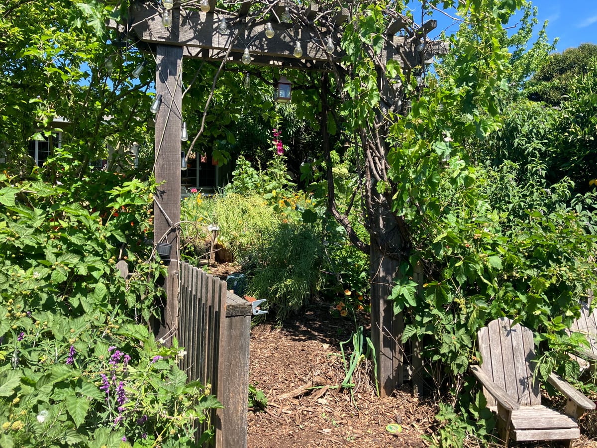 Sustainable Solano promotes regenerative environments and resilient  communities—one yard at a time