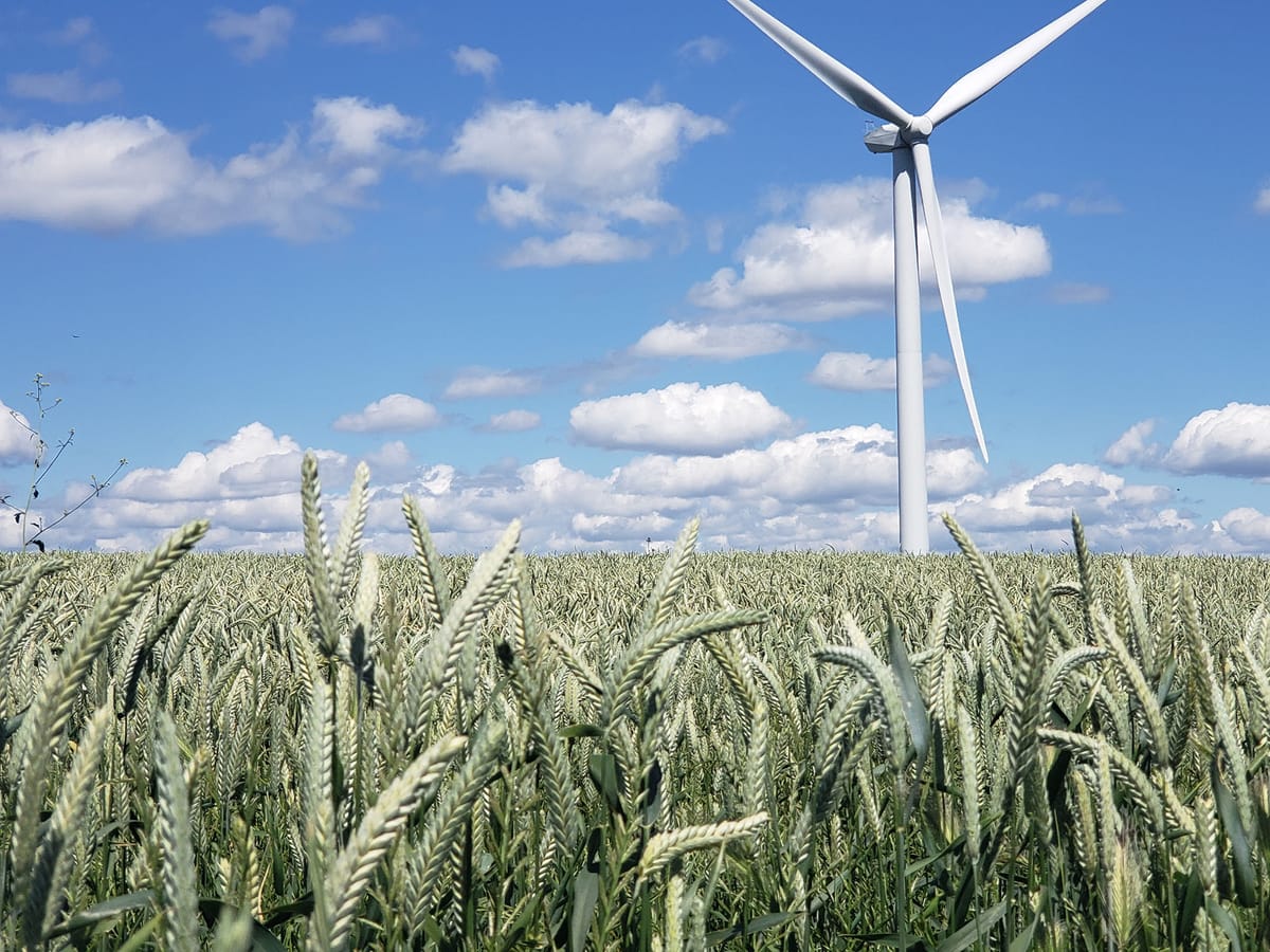 Poll shows opposition to Suisun expansion for California Forever development