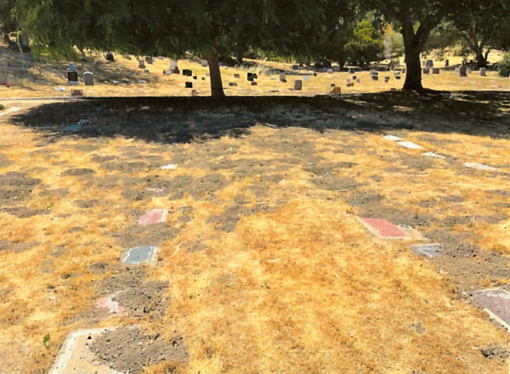 Vallejo cemetery owners seek to exclude evidence of neglected maintenance, financial audits in asset seizure case