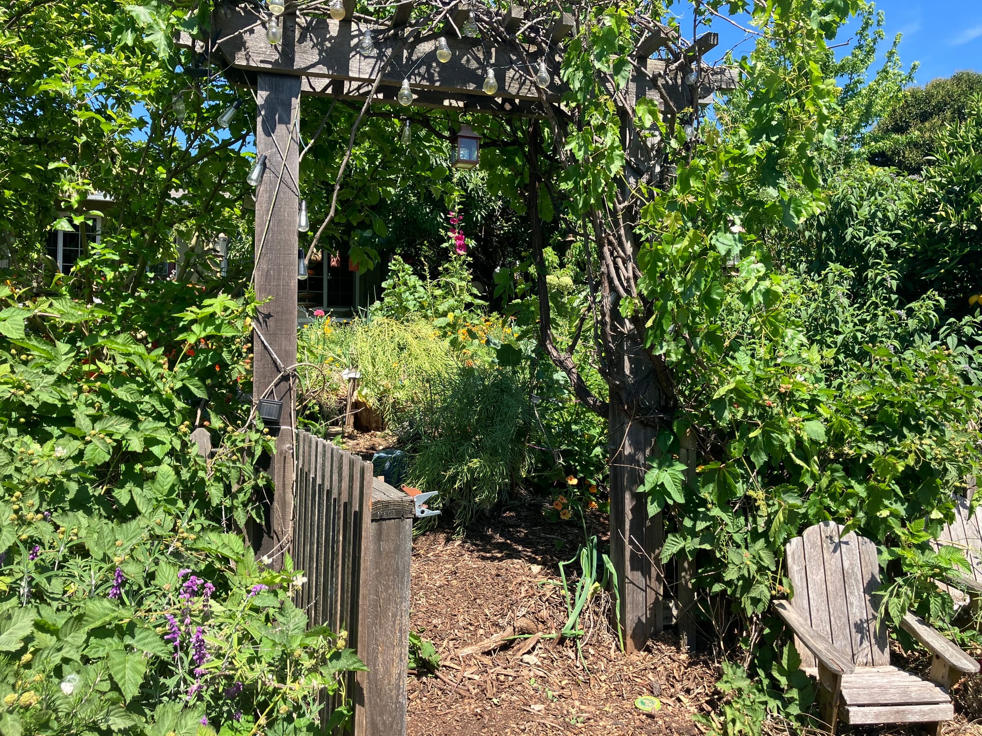 Sustainable Solano promotes regenerative environments and resilient communities—one yard at a time