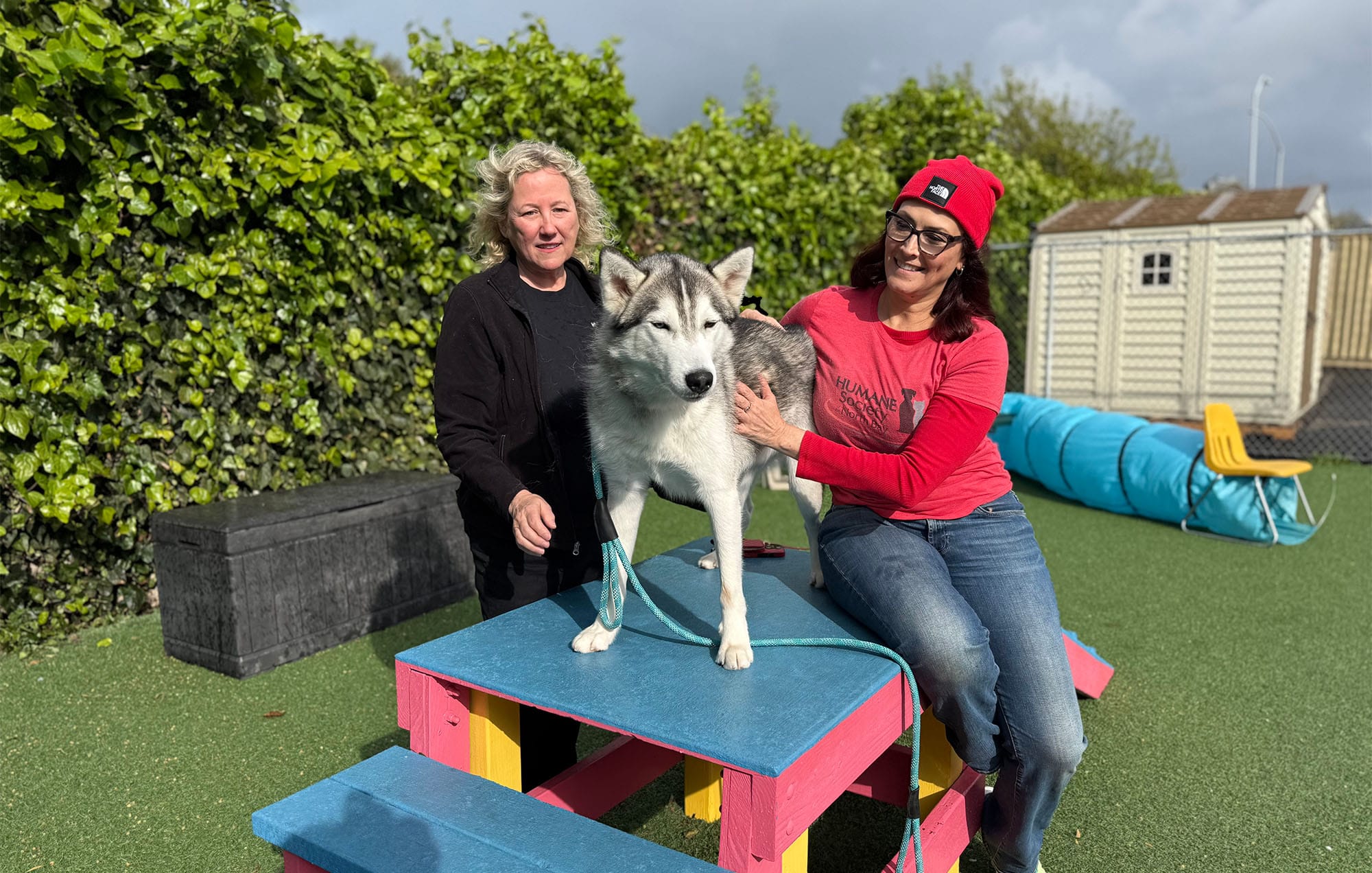 Humane Society of the North Bay provides a safe haven for Vallejo’s animals