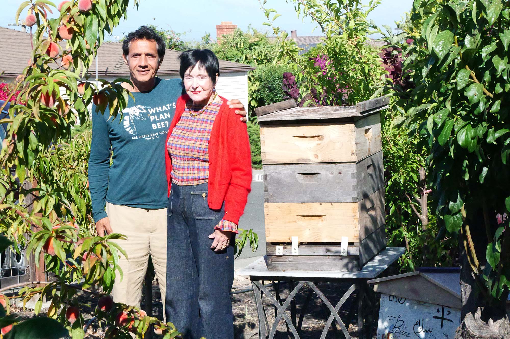 Vallejo amateur beekeeper raises awareness about bee decline with free honey
