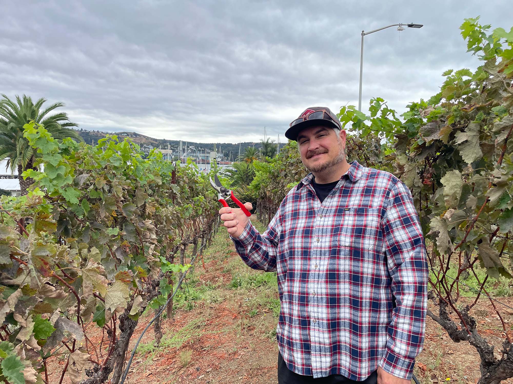 Vallejo Cellars promotes local nonprofits through good wine