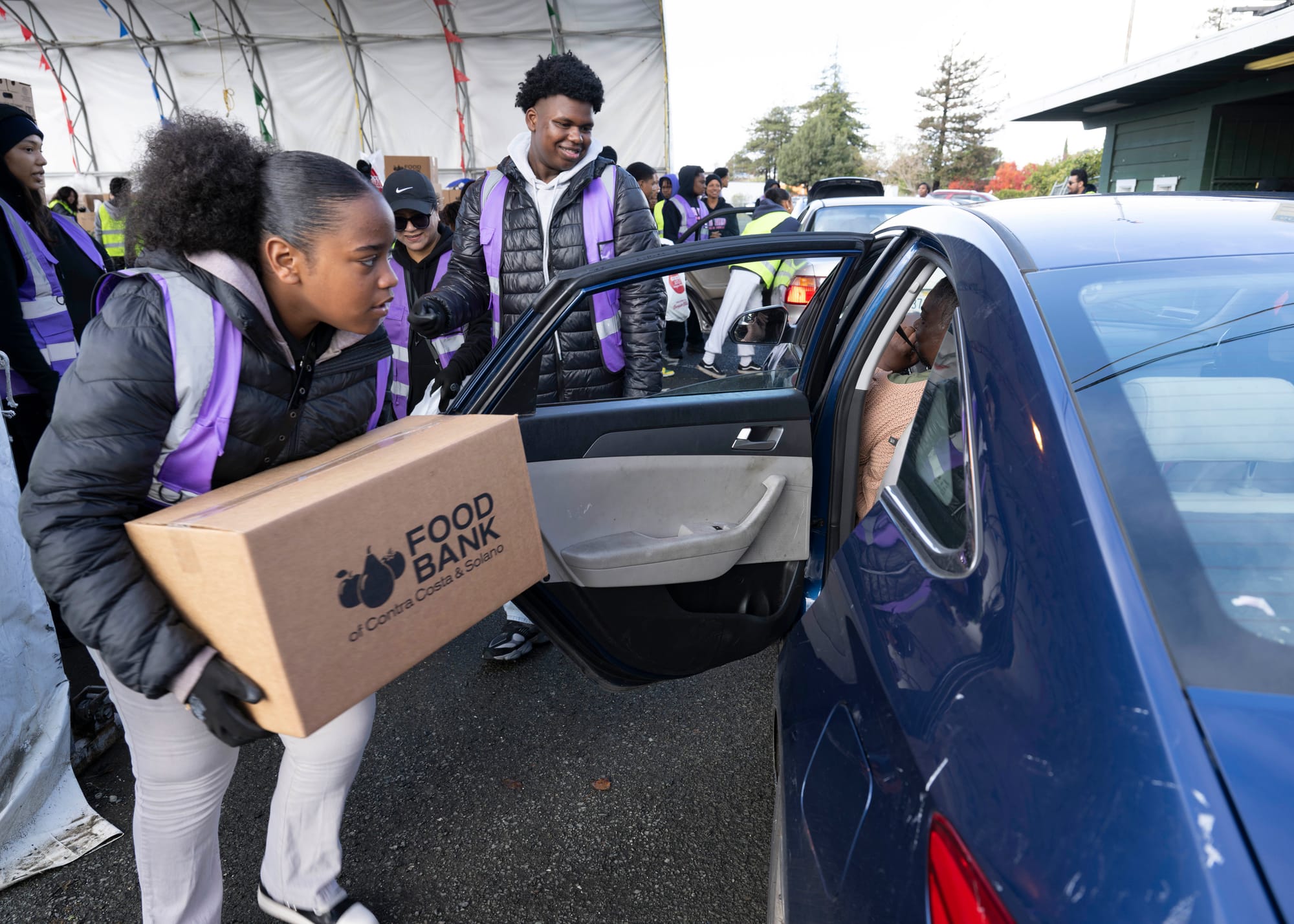 Upcoming Vallejo Events — Turkeys, Turkeys Everywhere